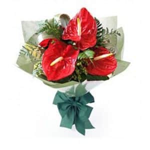 Anthurium buket